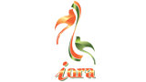 digital marketing agency